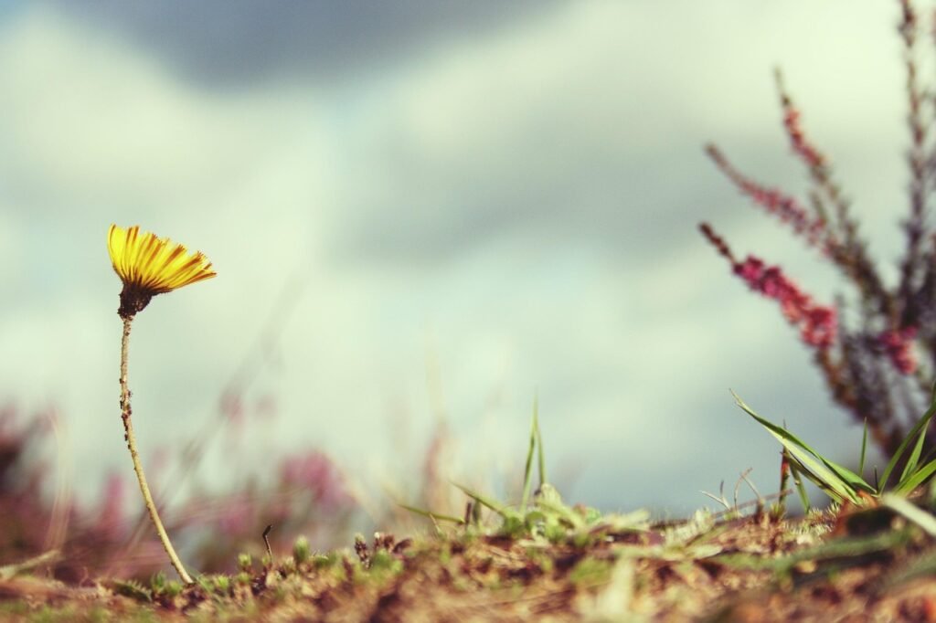 How To Recover After A Financial Setback