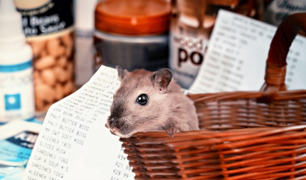 The Psychology Behind Impulse Buying